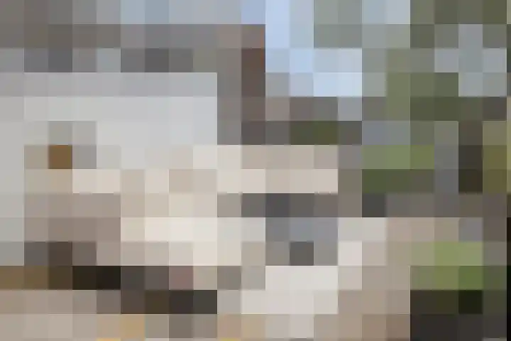 Ceintuurbaan 29 1 Amsterdam thumbnail 10