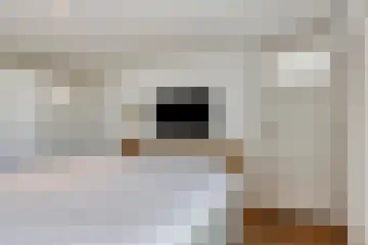 Ceintuurbaan 29 1 Amsterdam thumbnail 15