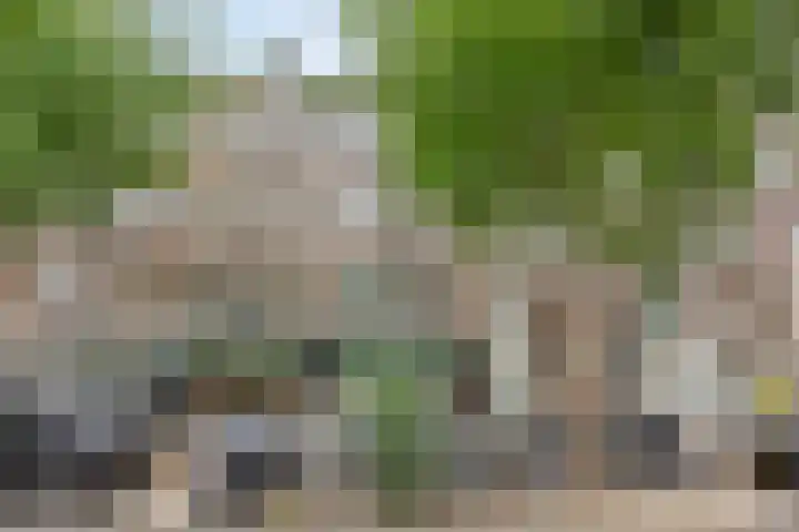 Ceintuurbaan 29 1 Amsterdam thumbnail 30