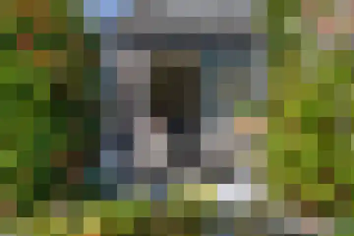 Ceintuurbaan 292 Bussum thumbnail 16
