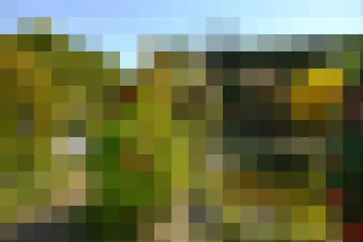 Ceintuurbaan 292 Bussum thumbnail 17