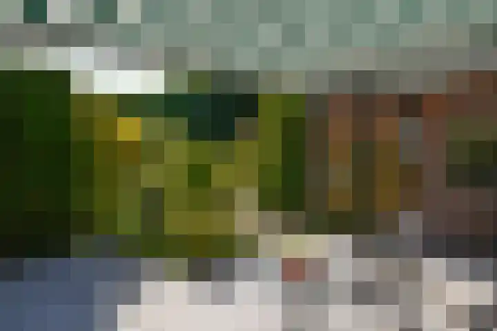Ceintuurbaan 292 Bussum thumbnail 20