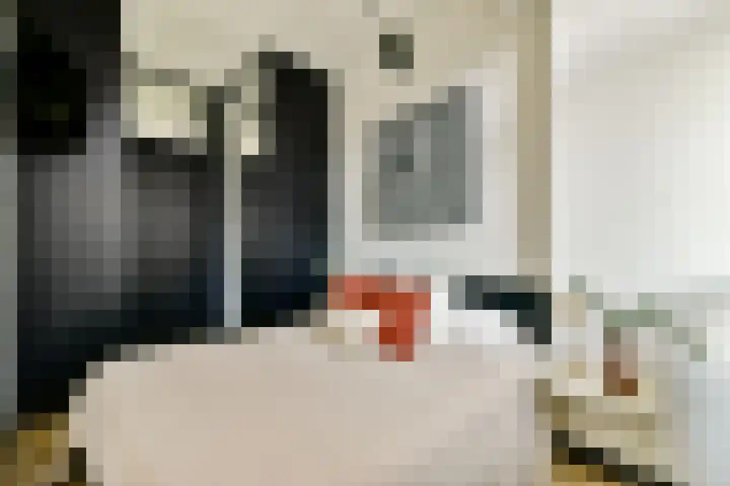 Ceintuurbaan 298 2 Amsterdam thumbnail 19