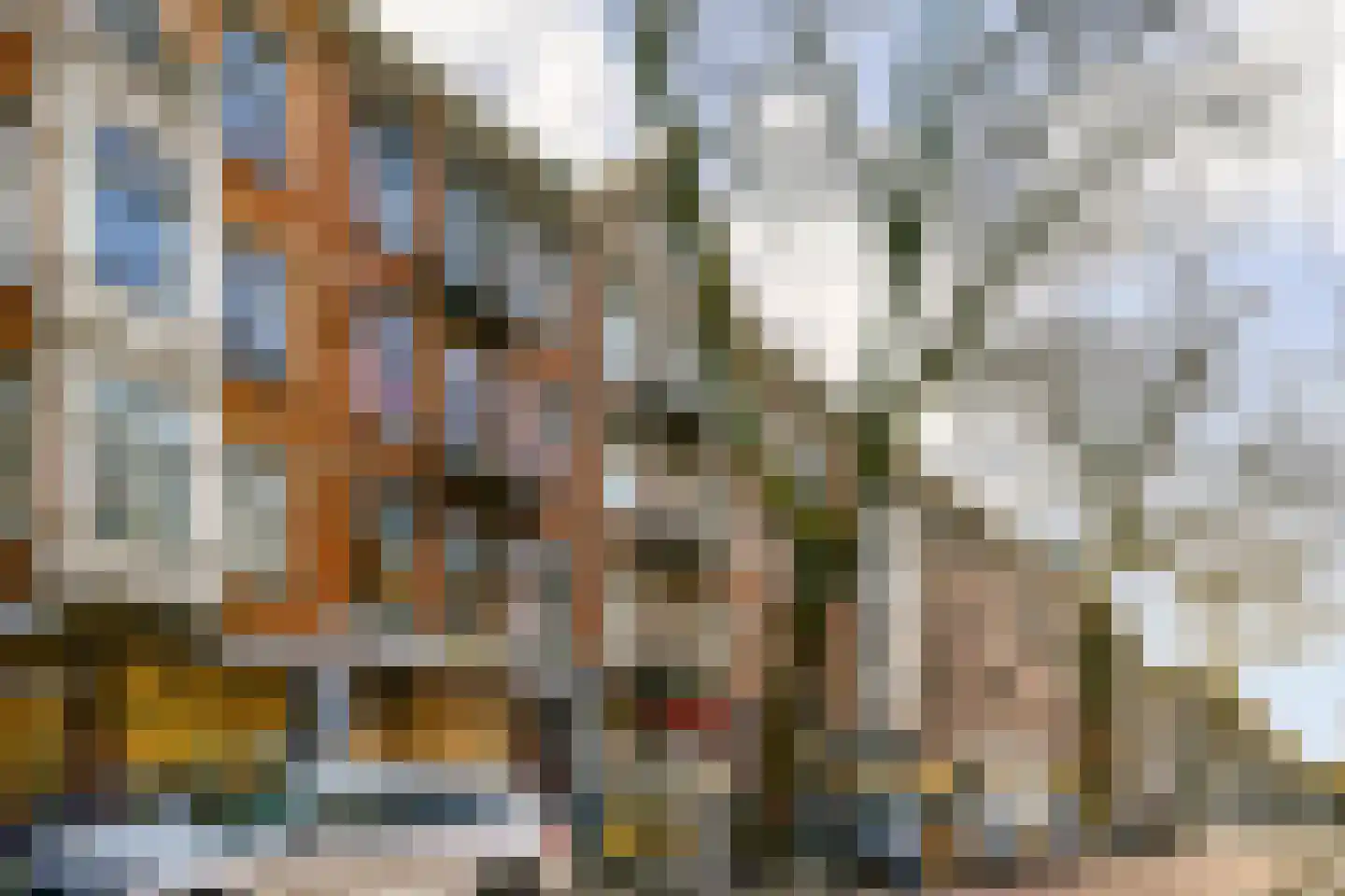 Ceintuurbaan 298 2 Amsterdam thumbnail 25