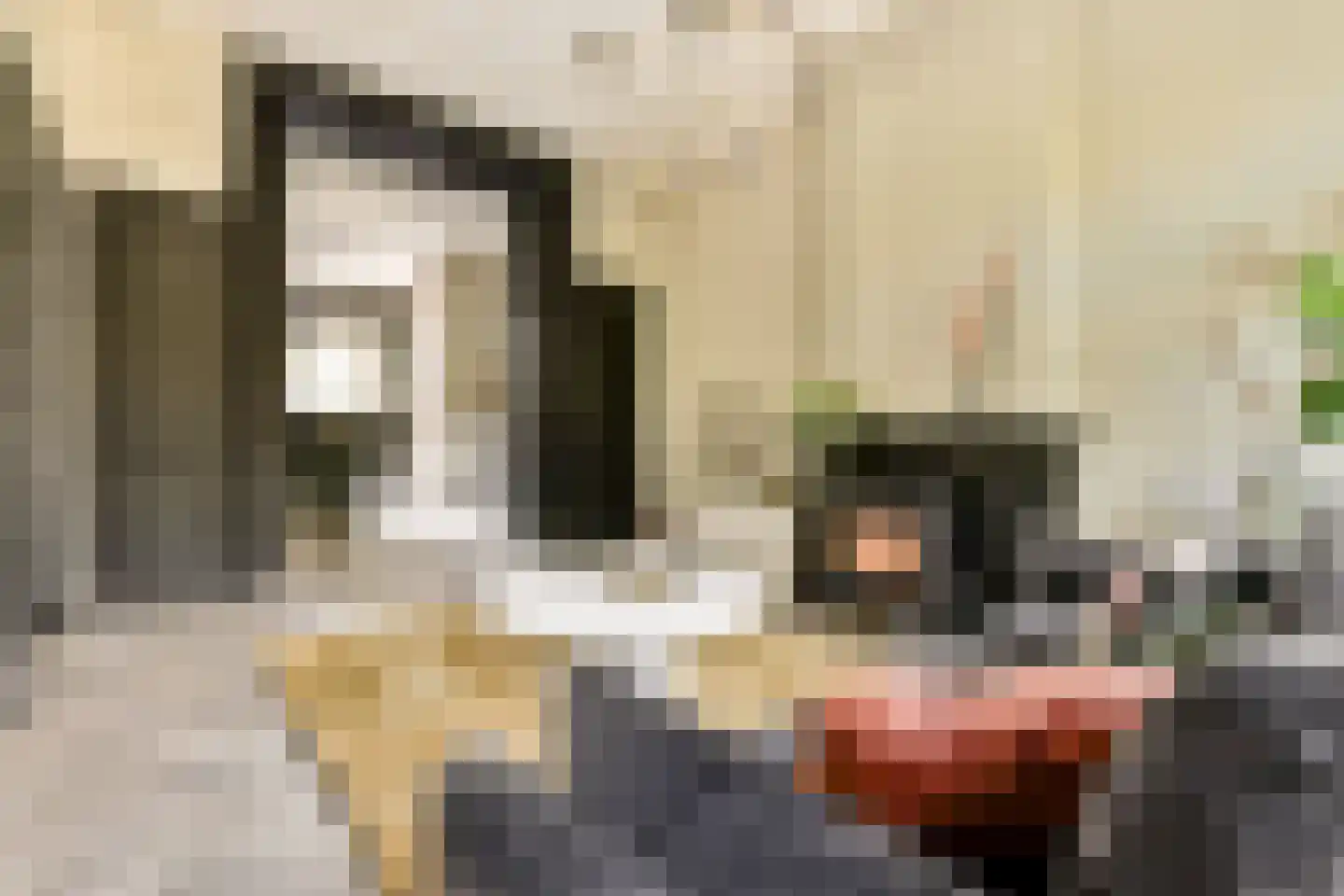 Ceintuurbaan 298 2 Amsterdam thumbnail 5
