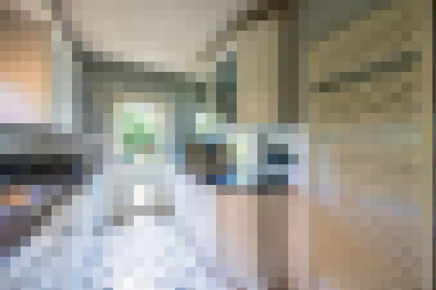 Ceintuurbaan 306 Bussum thumbnail 12