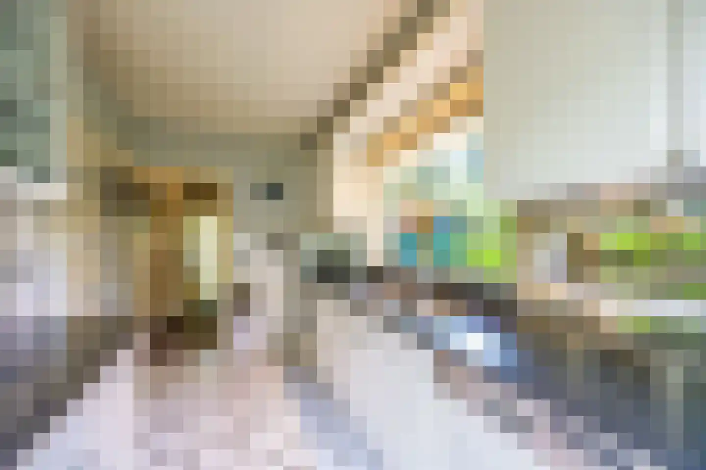 Ceintuurbaan 306 Bussum thumbnail 13