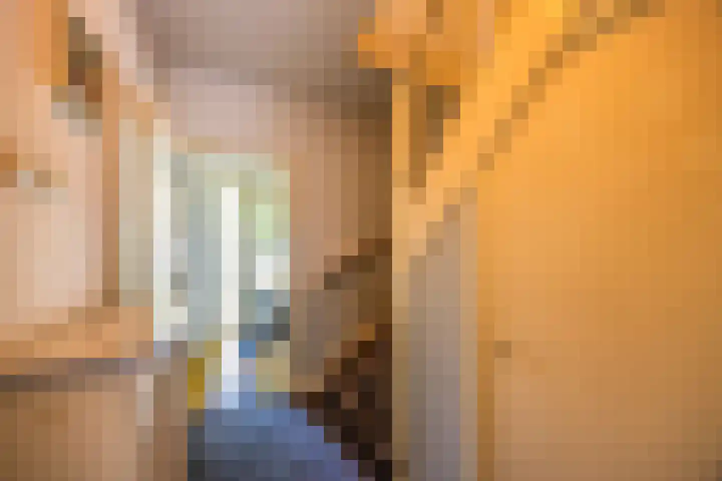 Ceintuurbaan 306 Bussum thumbnail 14