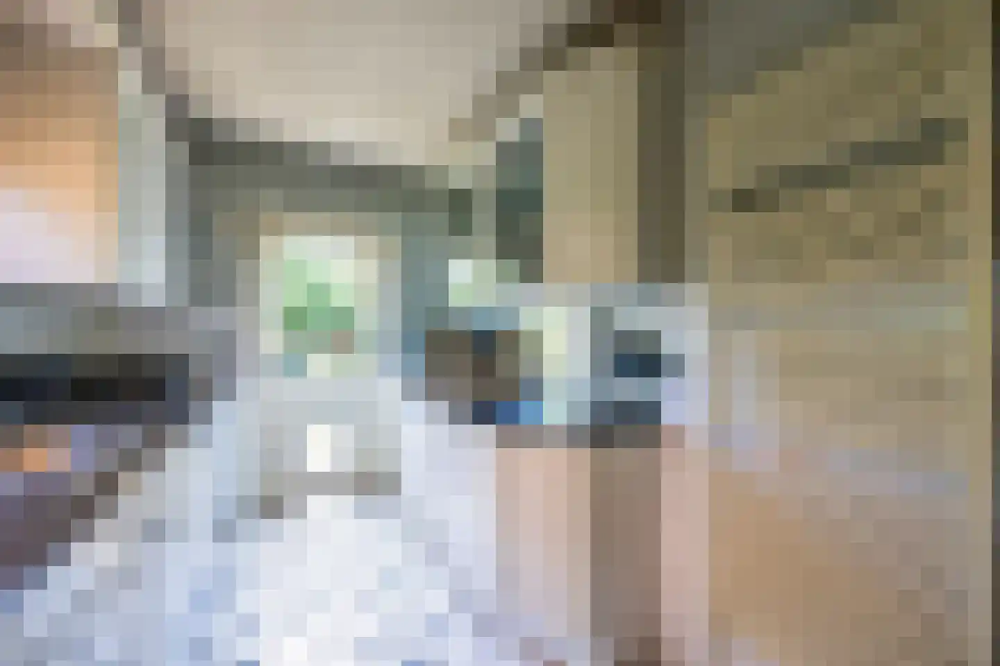 Ceintuurbaan 306 Bussum thumbnail 19