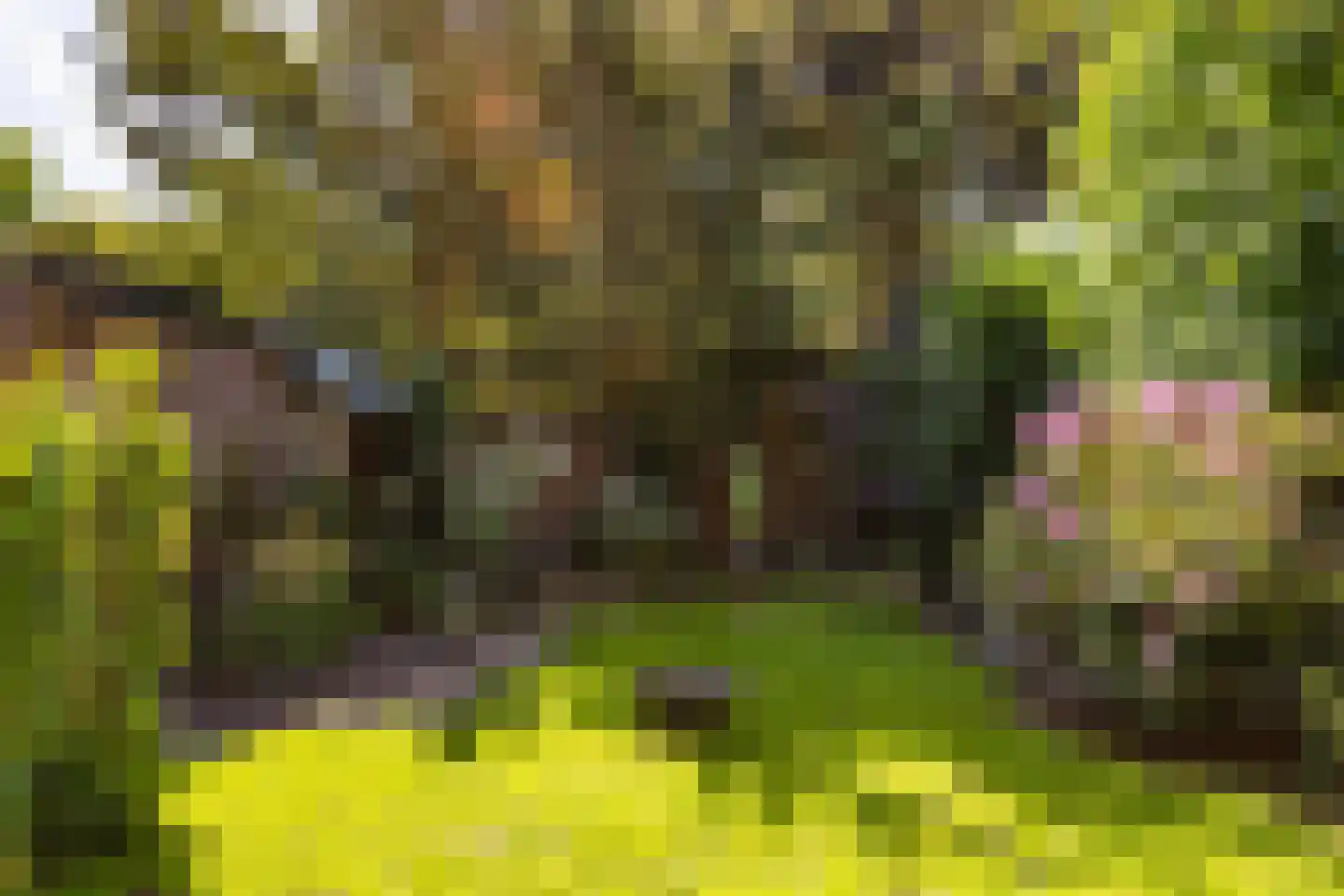 Ceintuurbaan 306 Bussum thumbnail 34