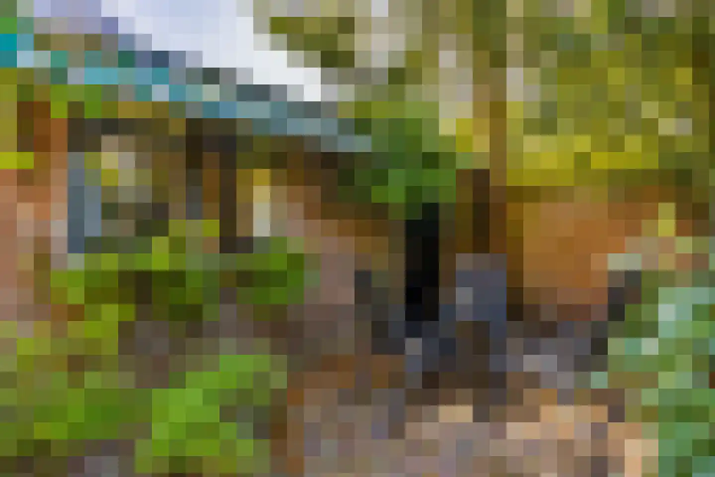 Ceintuurbaan 306 Bussum thumbnail 36