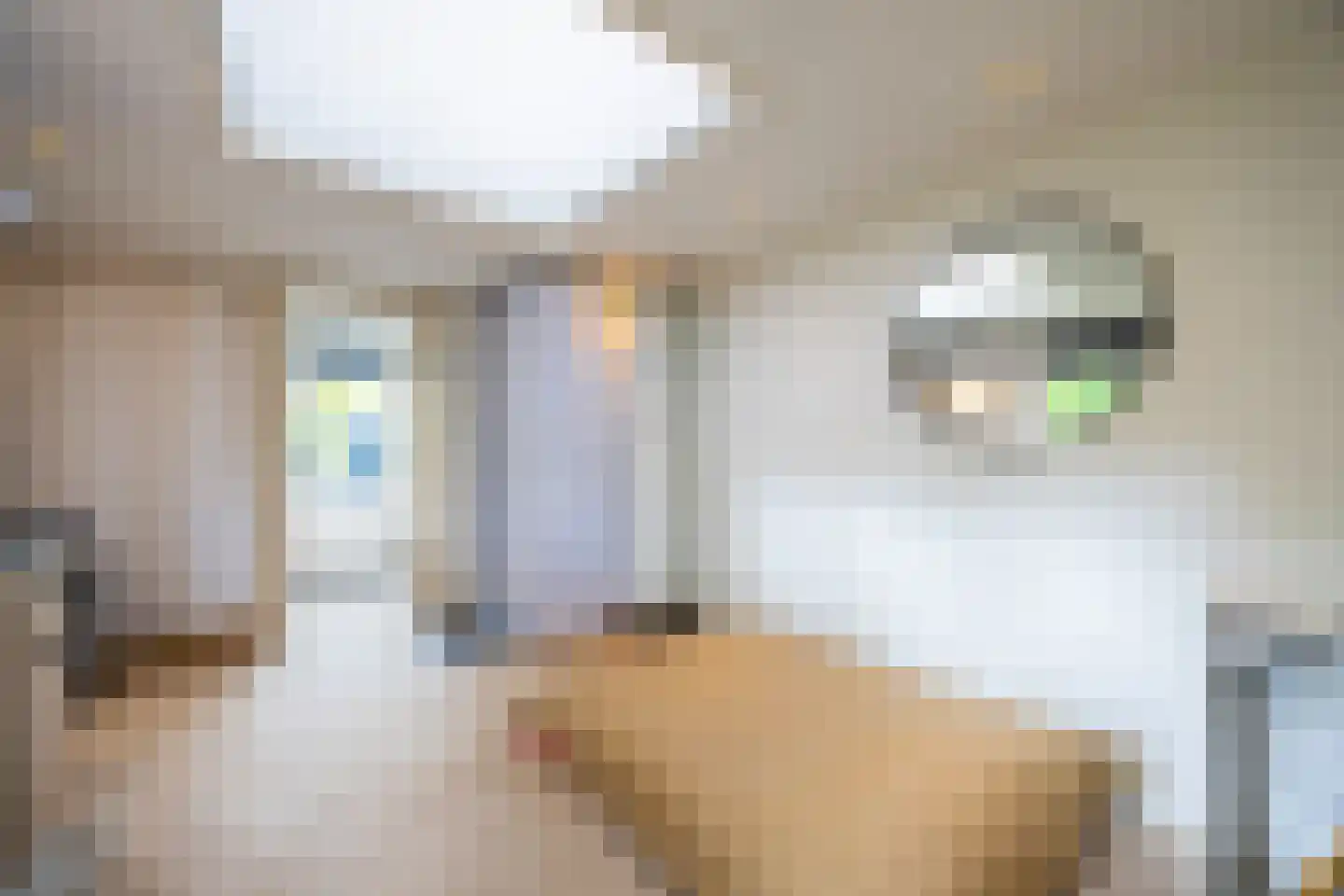 Ceintuurbaan 306 Bussum thumbnail 37