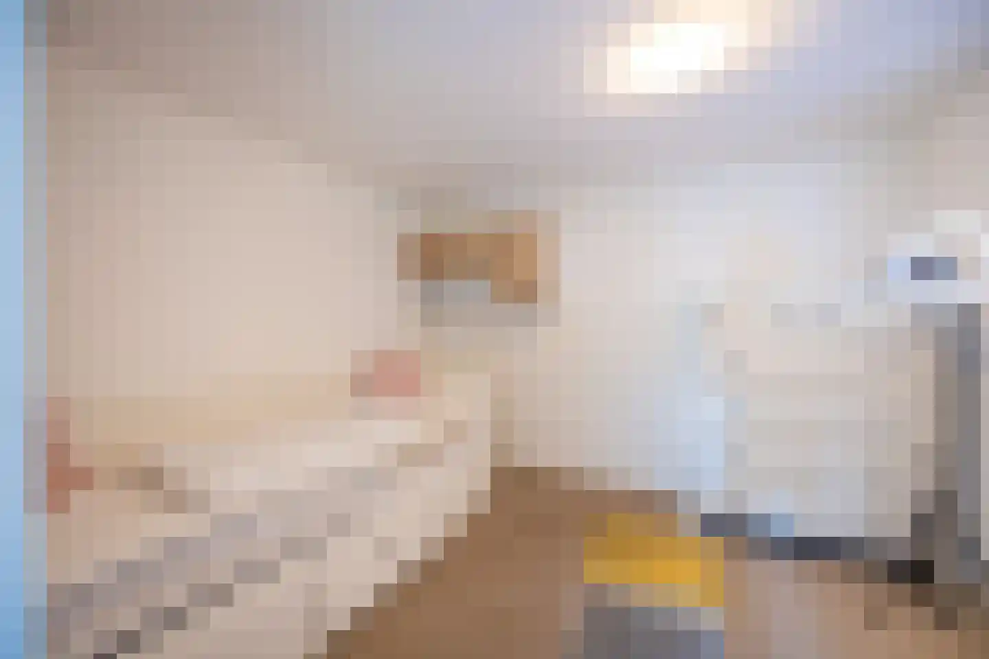 Ceintuurbaan 306 Bussum thumbnail 39