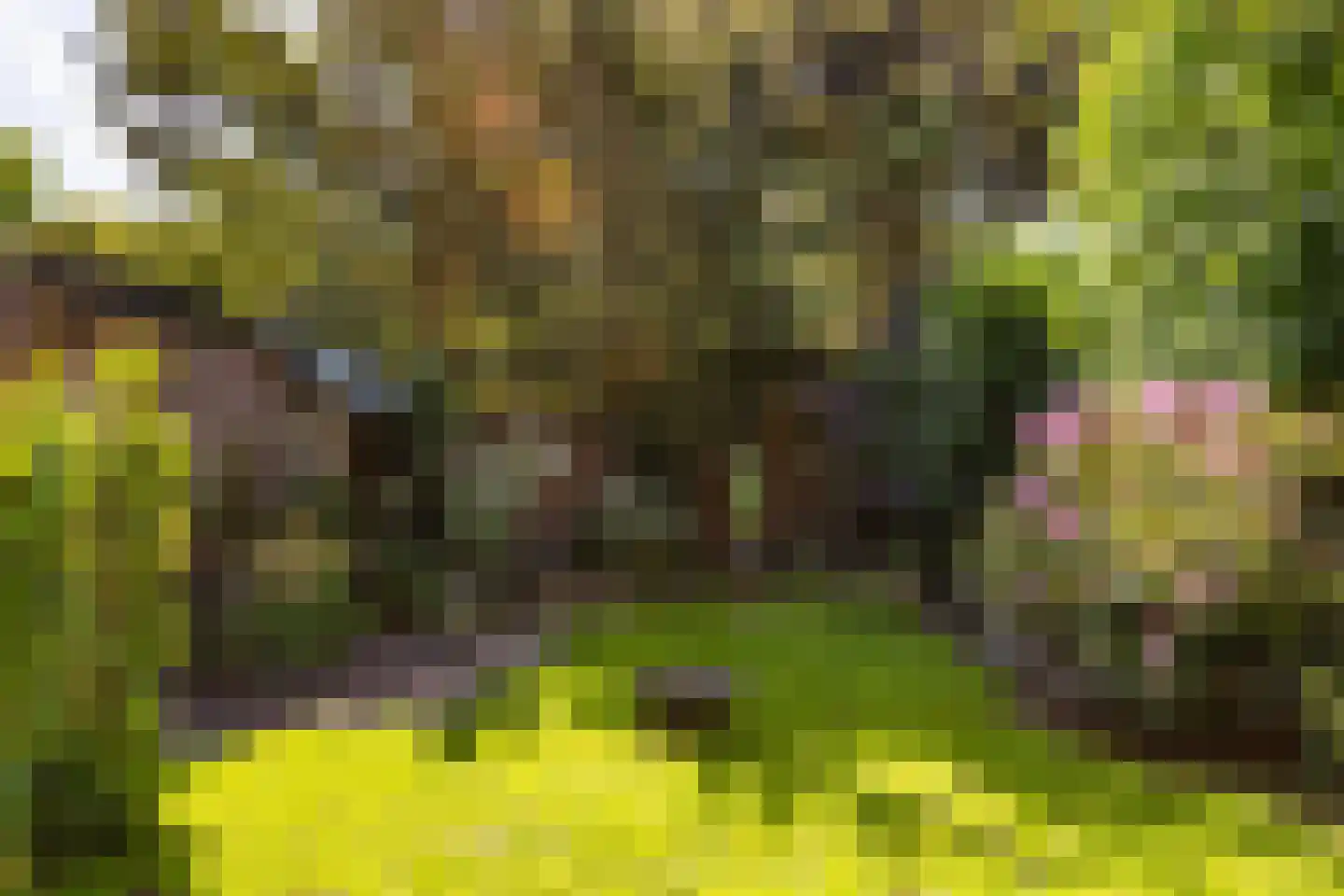 Ceintuurbaan 306 Bussum thumbnail 43