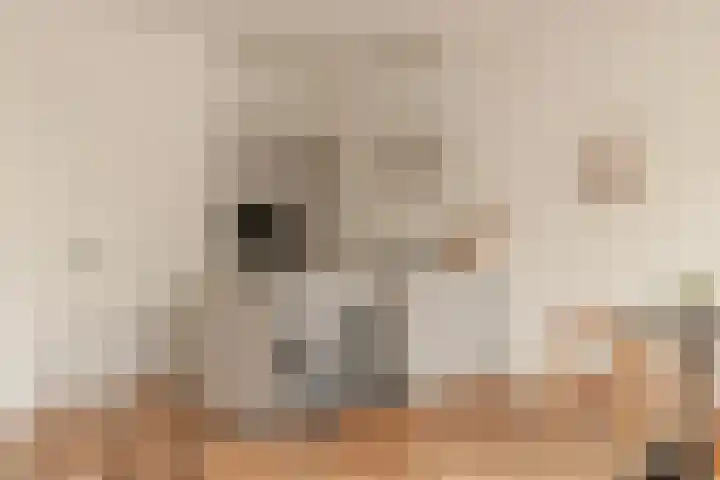 Ceintuurbaan 310 2 Amsterdam thumbnail 13