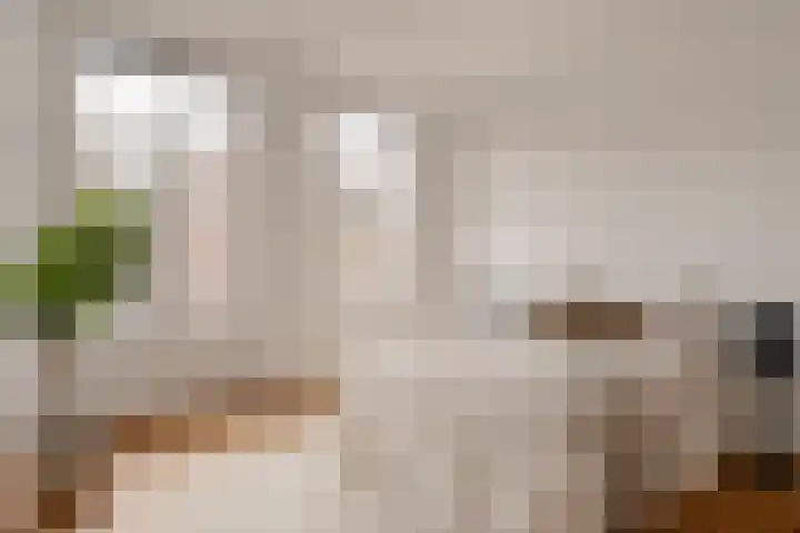 Ceintuurbaan 310 2 Amsterdam thumbnail 21