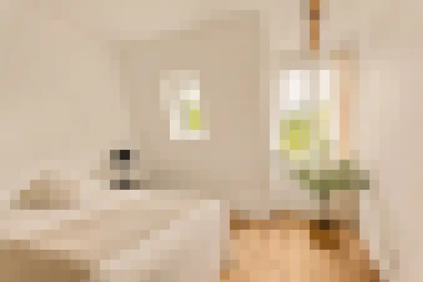 Ceintuurbaan 310 4 Amsterdam thumbnail 23