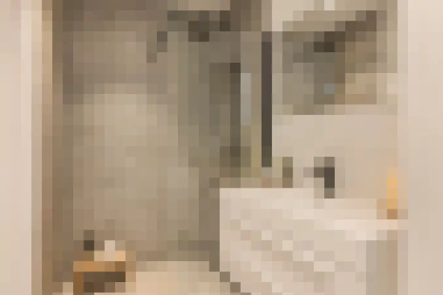 Ceintuurbaan 310 4 Amsterdam thumbnail 27