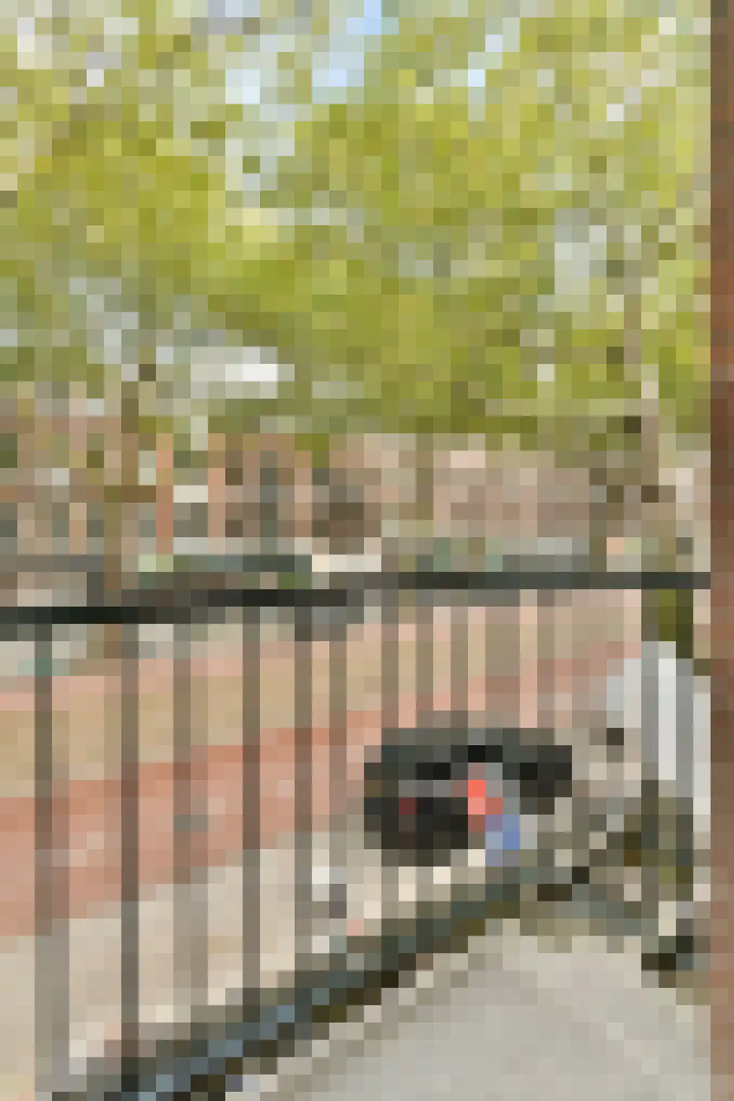 Ceintuurbaan 314 1 Amsterdam thumbnail 11