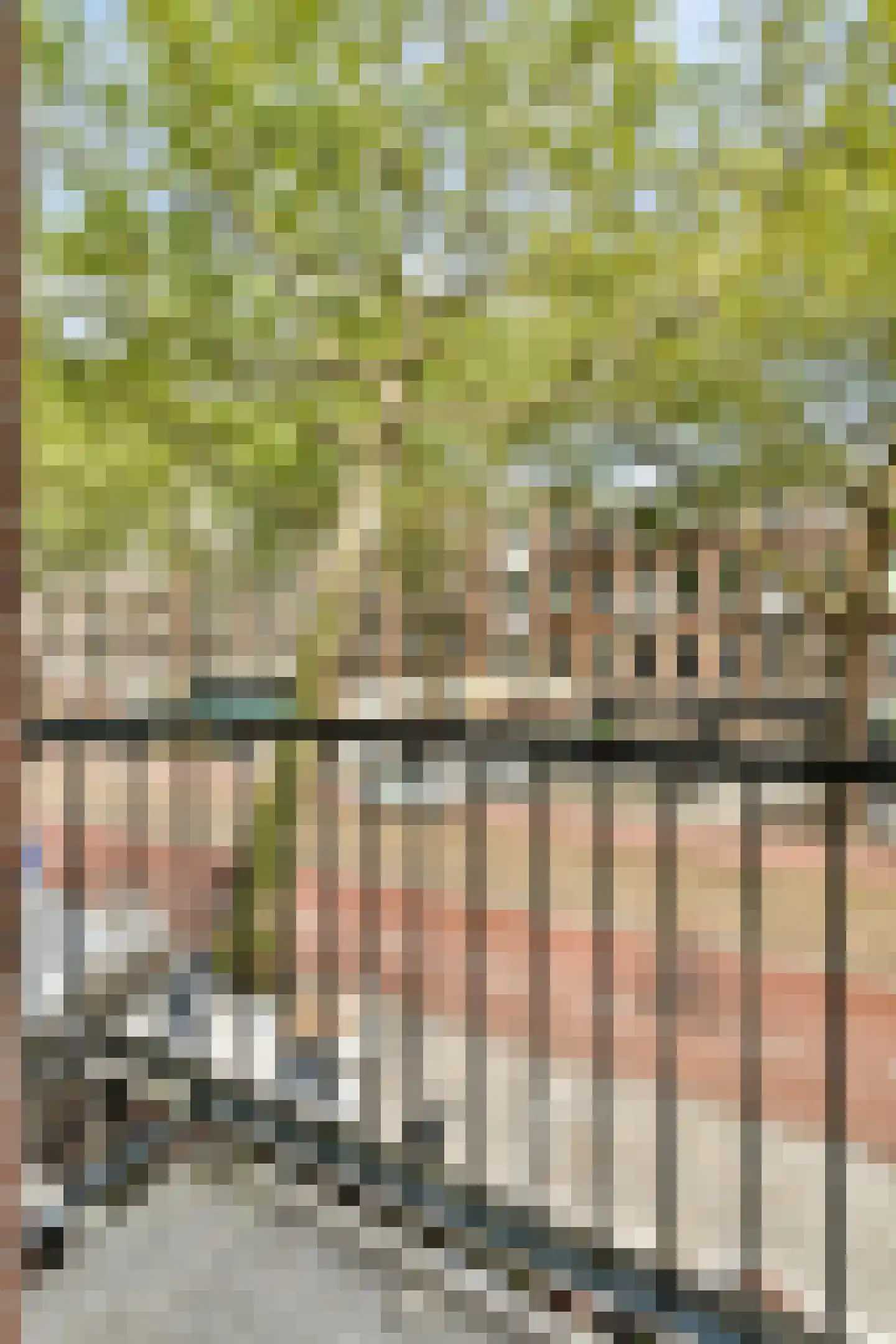 Ceintuurbaan 314 1 Amsterdam thumbnail 12