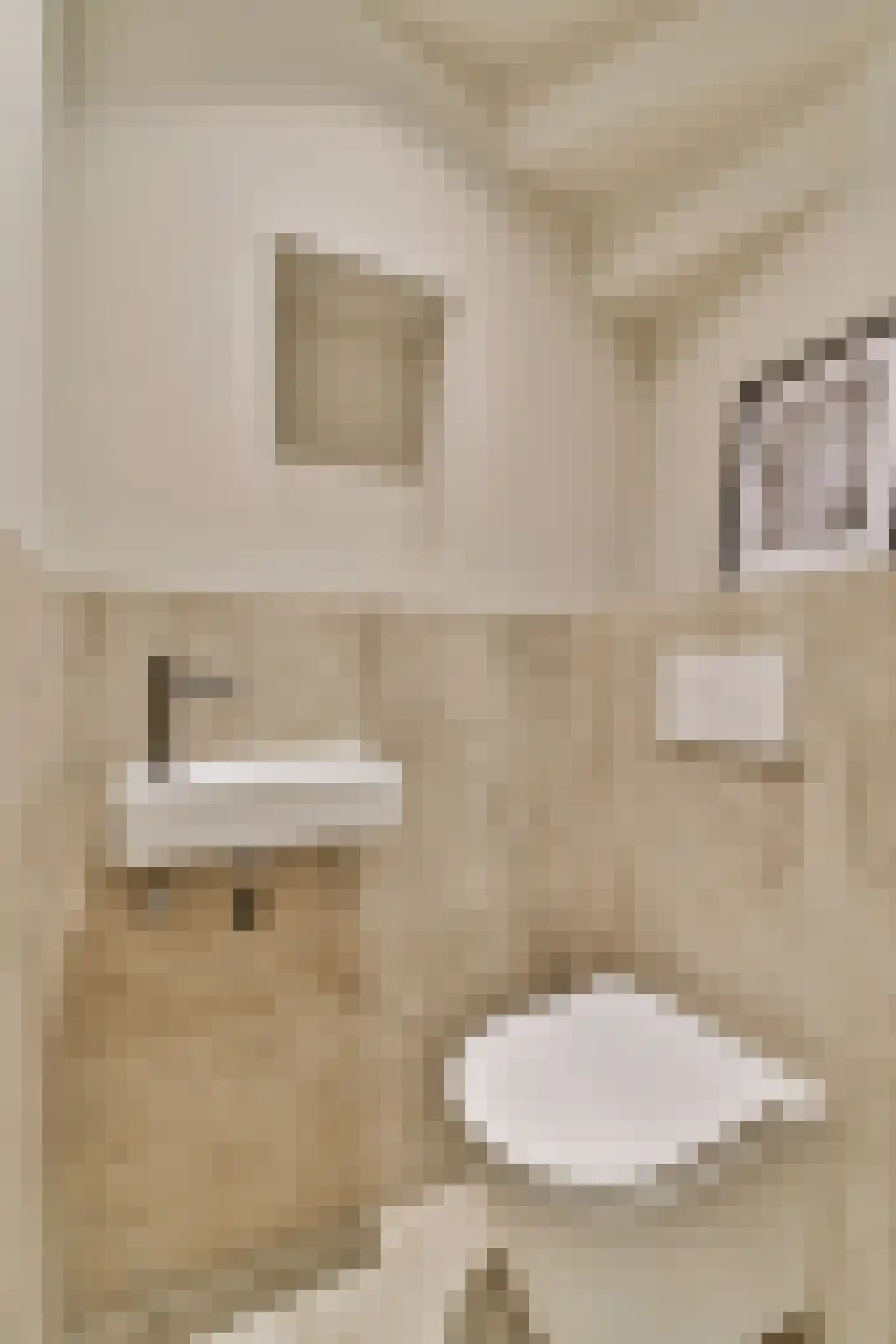 Ceintuurbaan 314 1 Amsterdam thumbnail 22