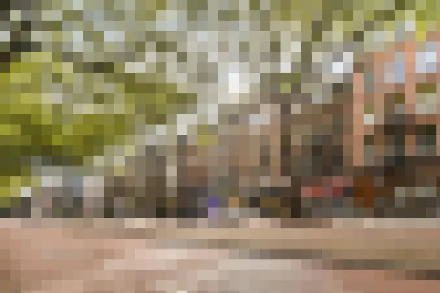 Ceintuurbaan 314 1 Amsterdam thumbnail 4