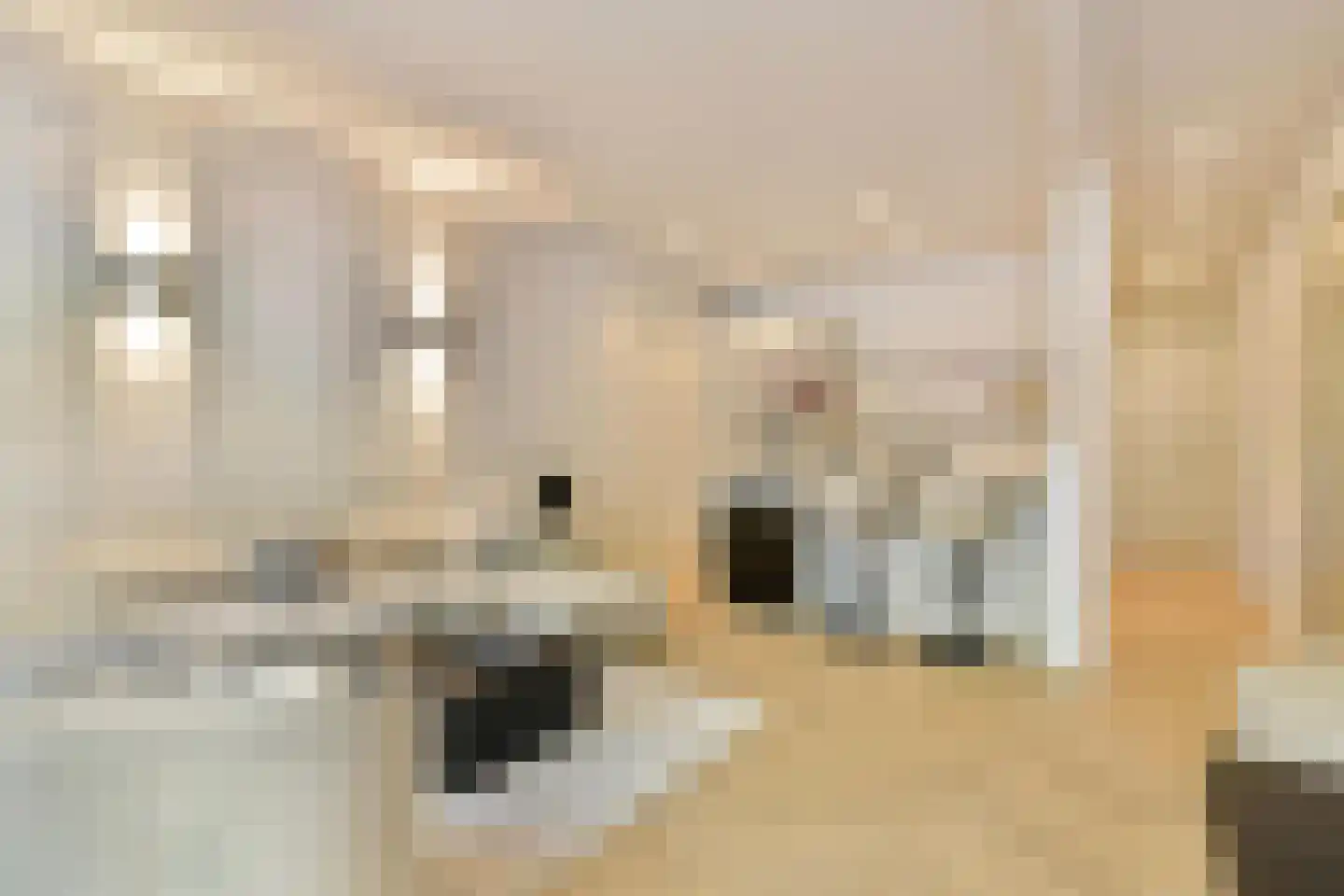 Ceintuurbaan 314 1 Amsterdam thumbnail 7