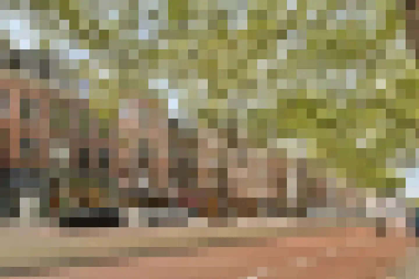 Ceintuurbaan 314 4B Amsterdam thumbnail 12