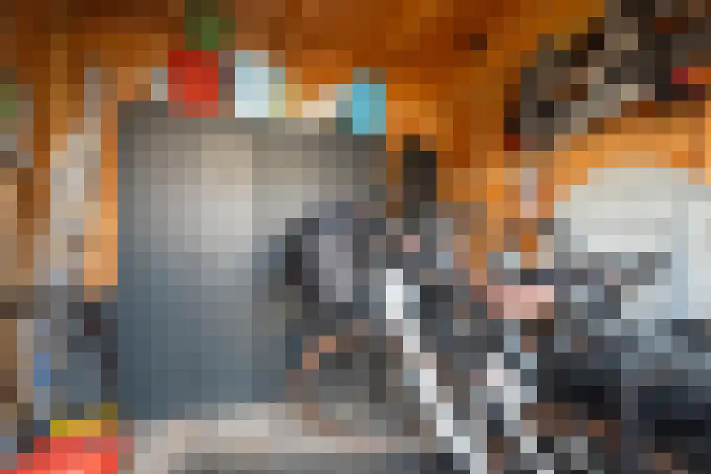 Ceintuurbaan 35 Meppel thumbnail 33