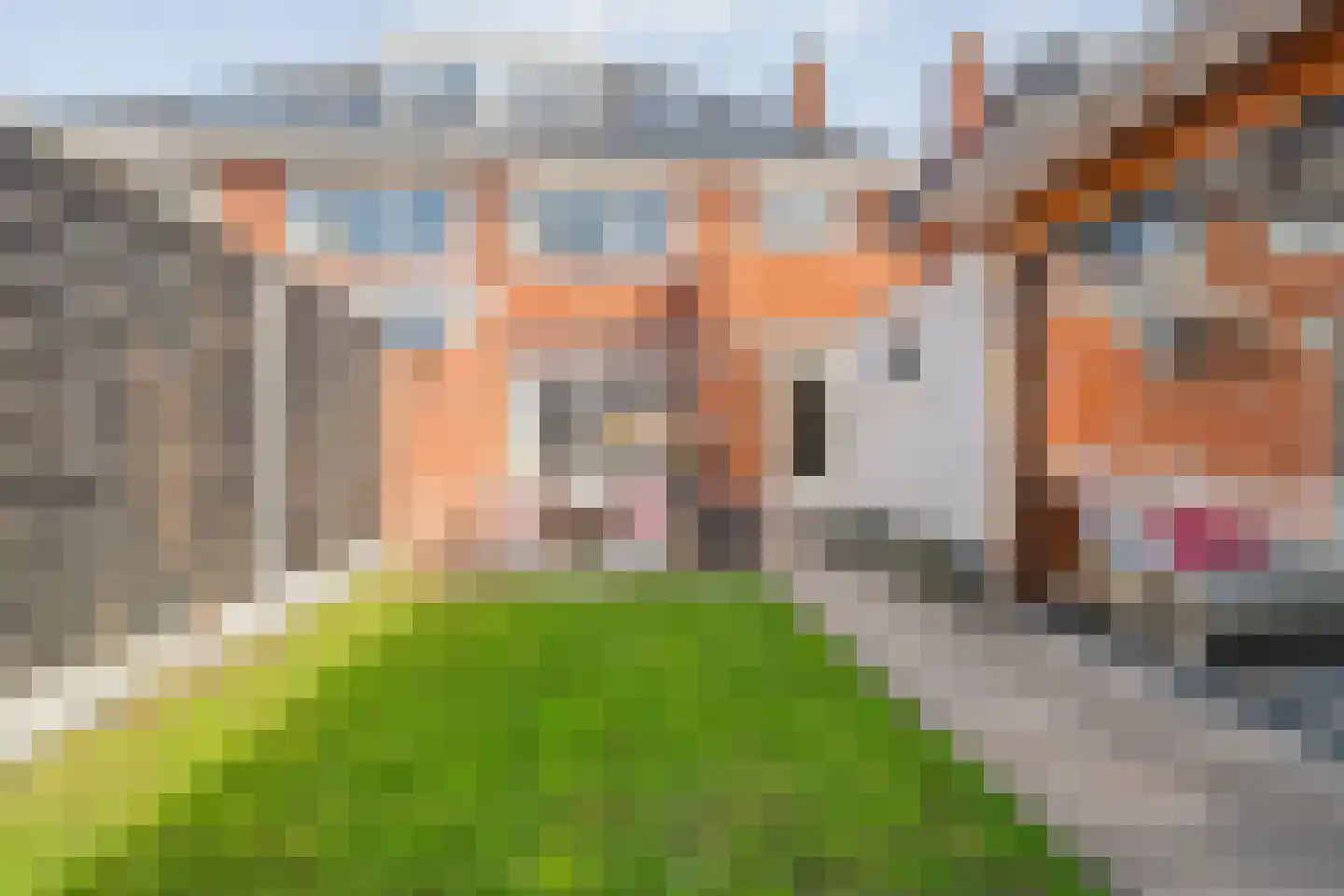 Ceintuurbaan 35 Meppel thumbnail 41