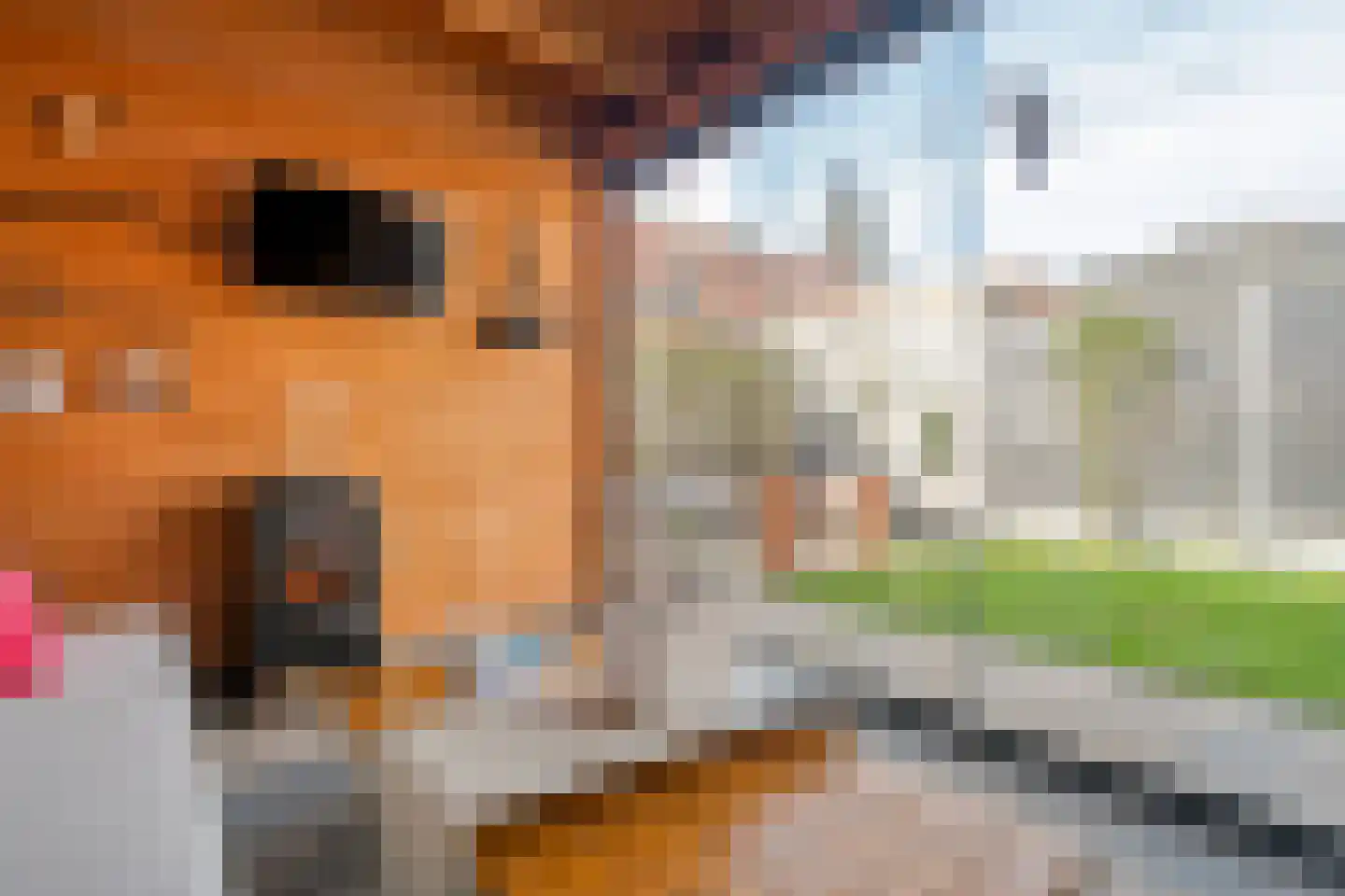Ceintuurbaan 35 Meppel thumbnail 46
