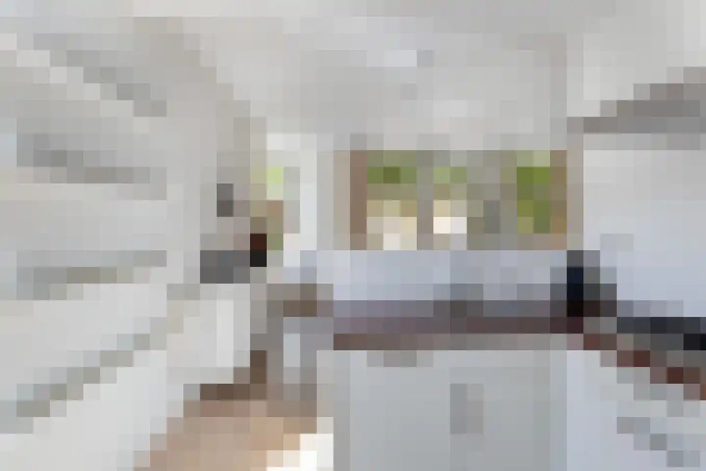 Ceintuurbaan 356 2 Amsterdam thumbnail 14