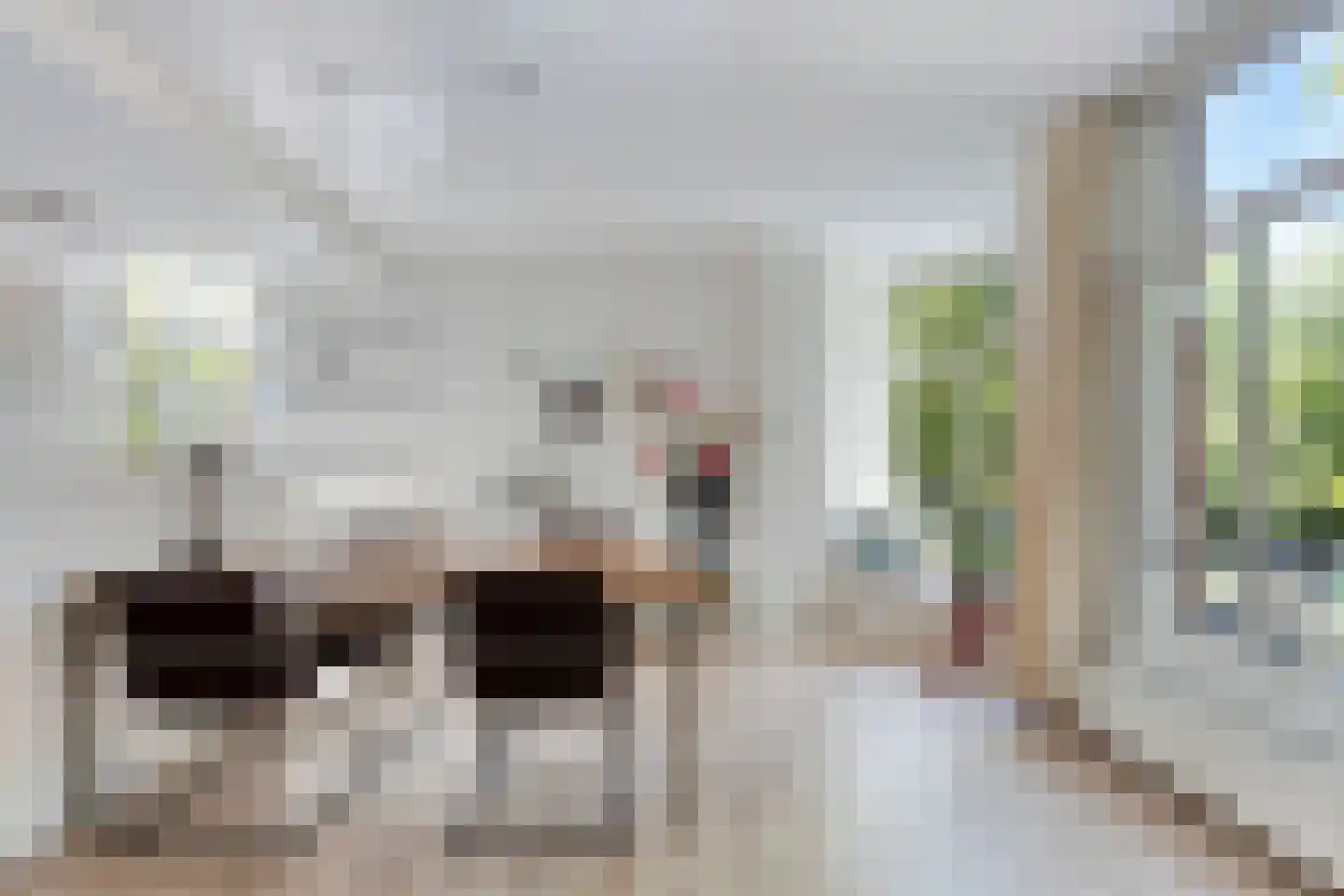 Ceintuurbaan 356 2 Amsterdam thumbnail 7