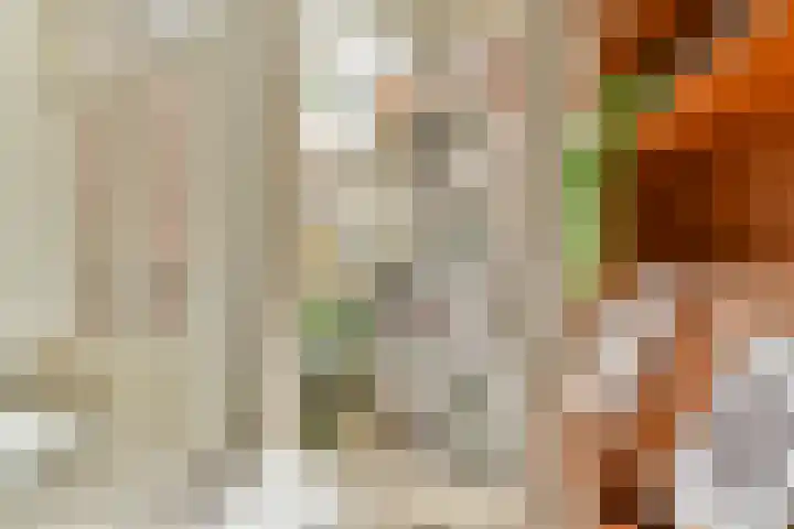 Ceintuurbaan 358 1 Amsterdam thumbnail 21