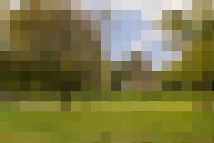 Ceintuurbaan 358 4 Amsterdam thumbnail 32