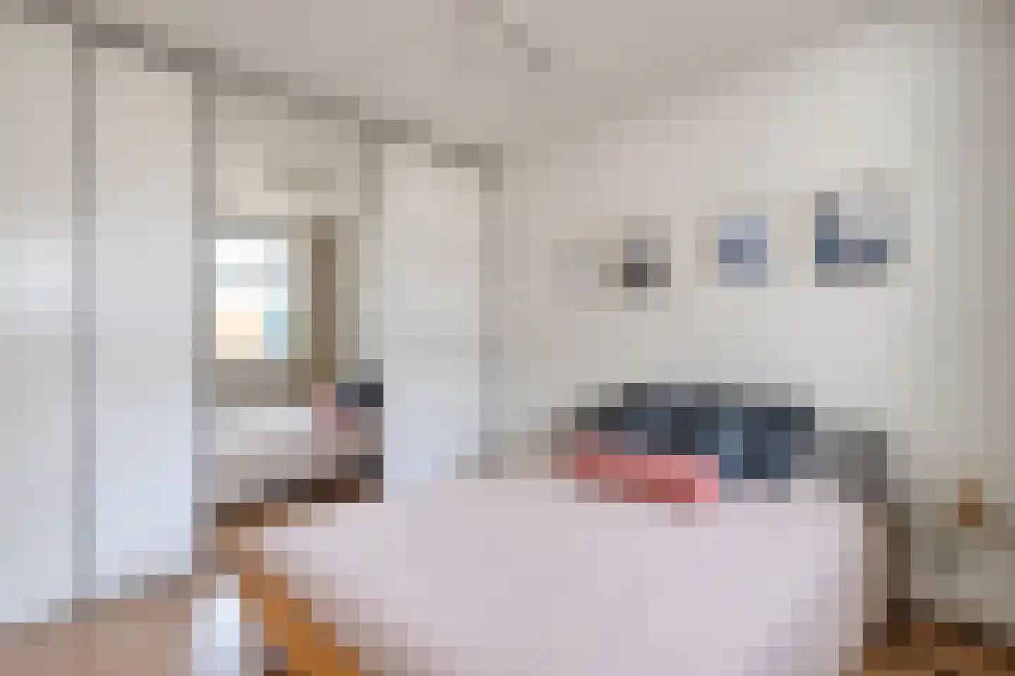 Ceintuurbaan 360 3 Amsterdam thumbnail 14