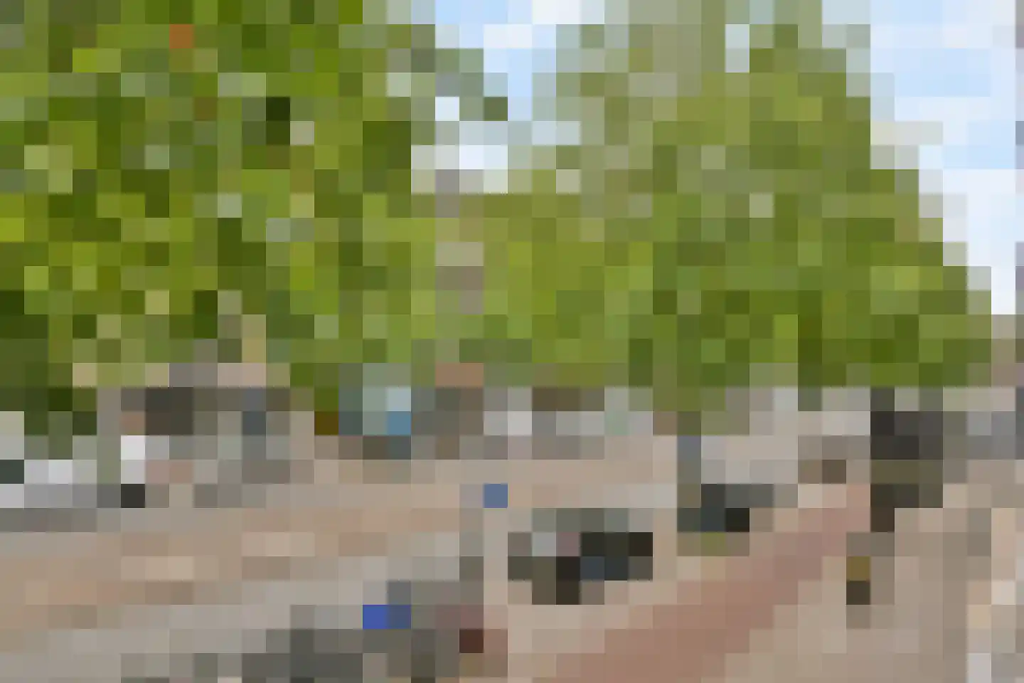 Ceintuurbaan 37 1 Amsterdam thumbnail 9
