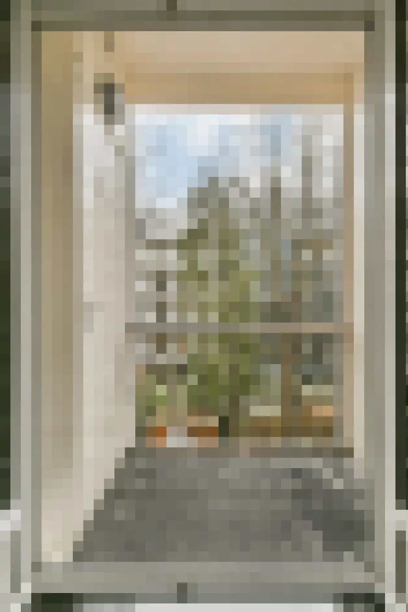 Ceintuurbaan 37 2 Amsterdam thumbnail 13