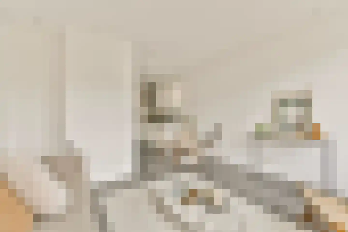 Ceintuurbaan 37 3 Amsterdam thumbnail 6