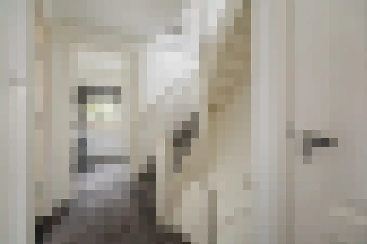 Ceintuurbaan 38 Deventer thumbnail 17