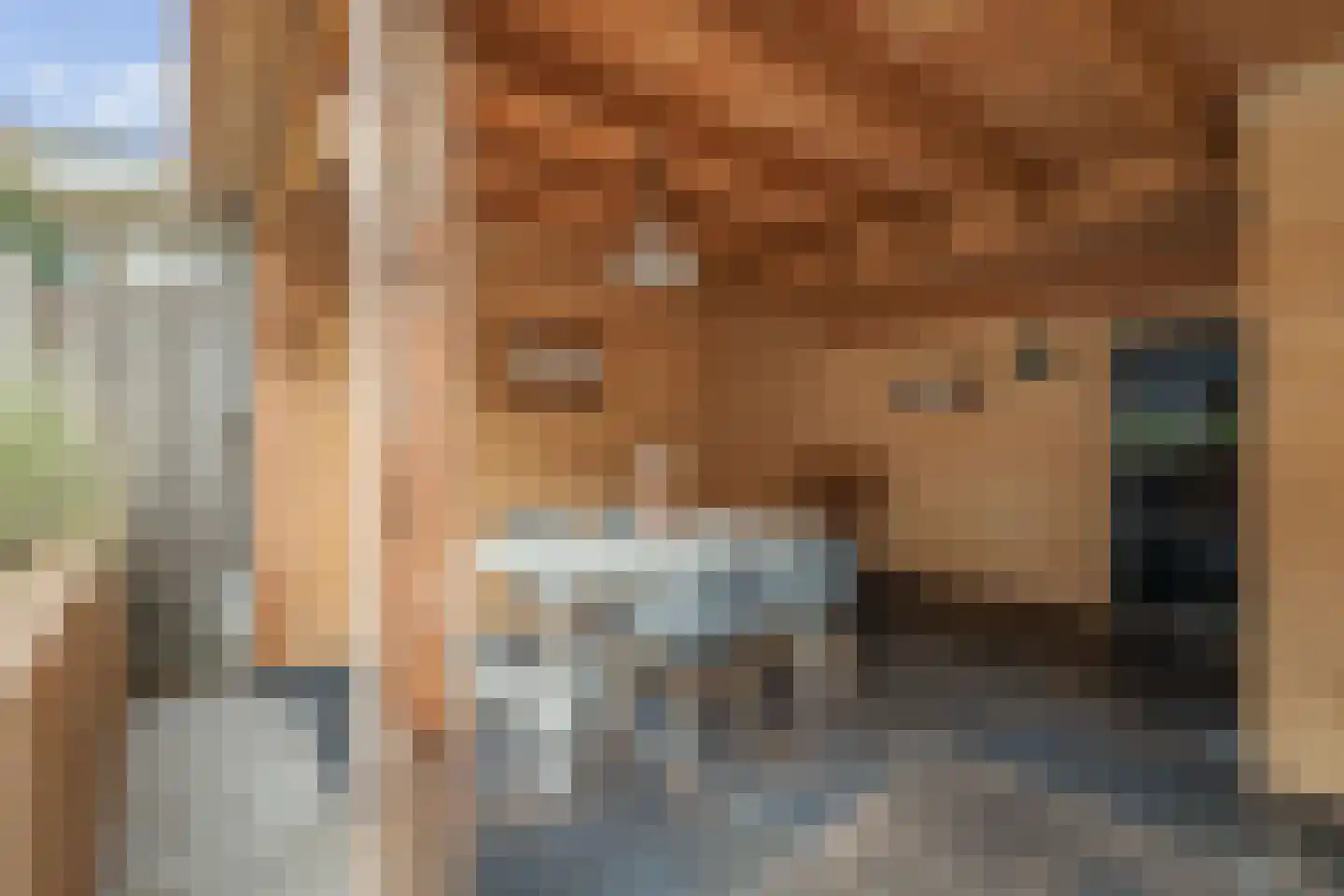 Ceintuurbaan 38 Deventer thumbnail 40