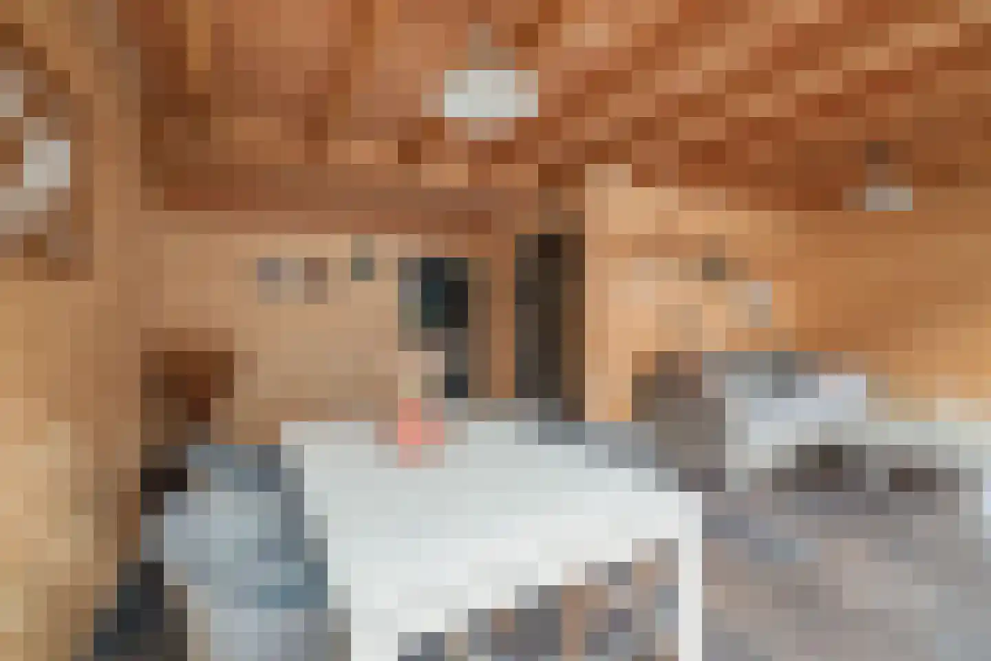 Ceintuurbaan 38 Deventer thumbnail 41