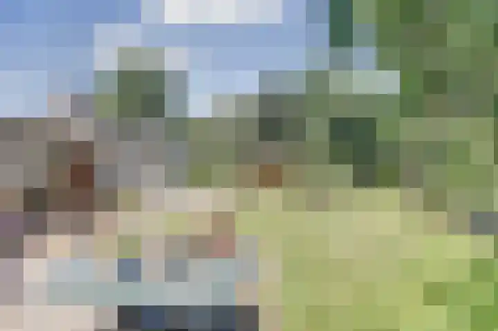 Ceintuurbaan 4 75 Harderwijk thumbnail 18