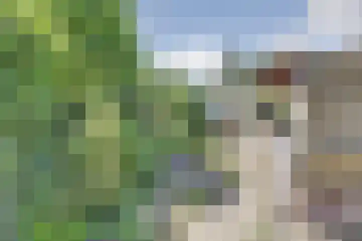 Ceintuurbaan 4 75 Harderwijk thumbnail 19
