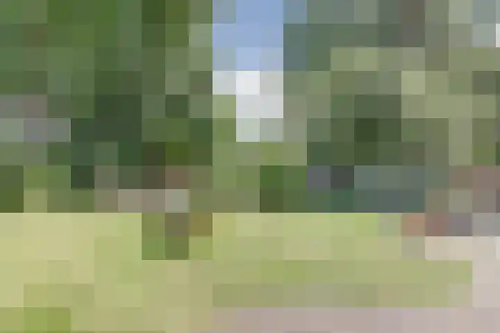 Ceintuurbaan 4 75 Harderwijk thumbnail 22