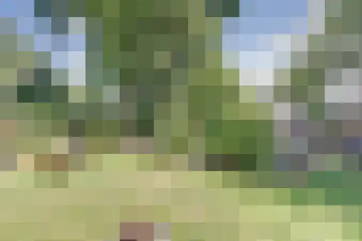 Ceintuurbaan 4 75 Harderwijk thumbnail 23