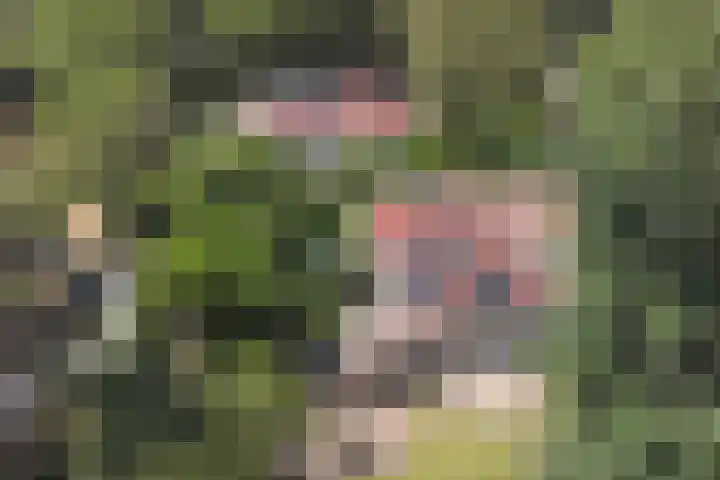 Ceintuurbaan 4 75 Harderwijk thumbnail 30