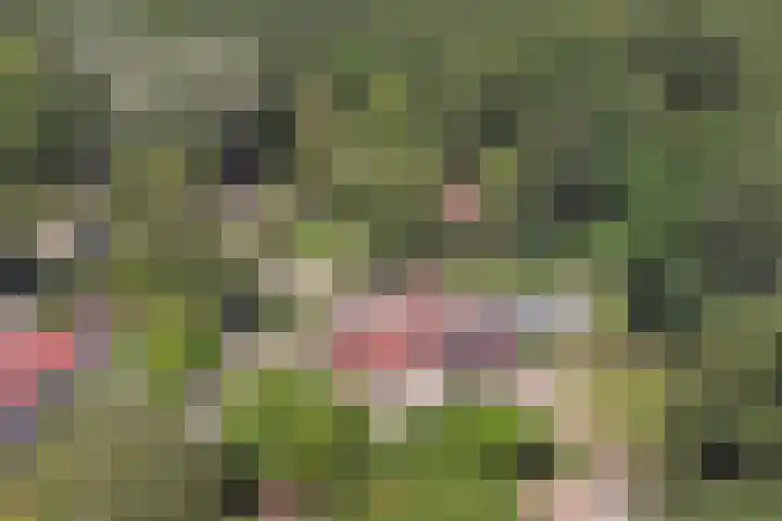 Ceintuurbaan 4 75 Harderwijk thumbnail 31