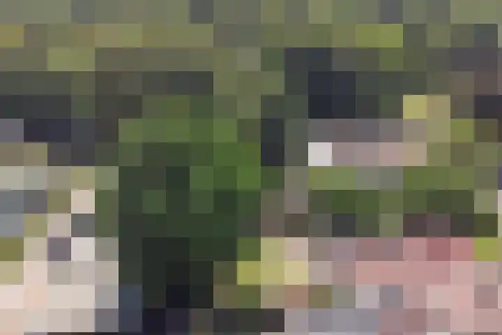 Ceintuurbaan 4 75 Harderwijk thumbnail 32