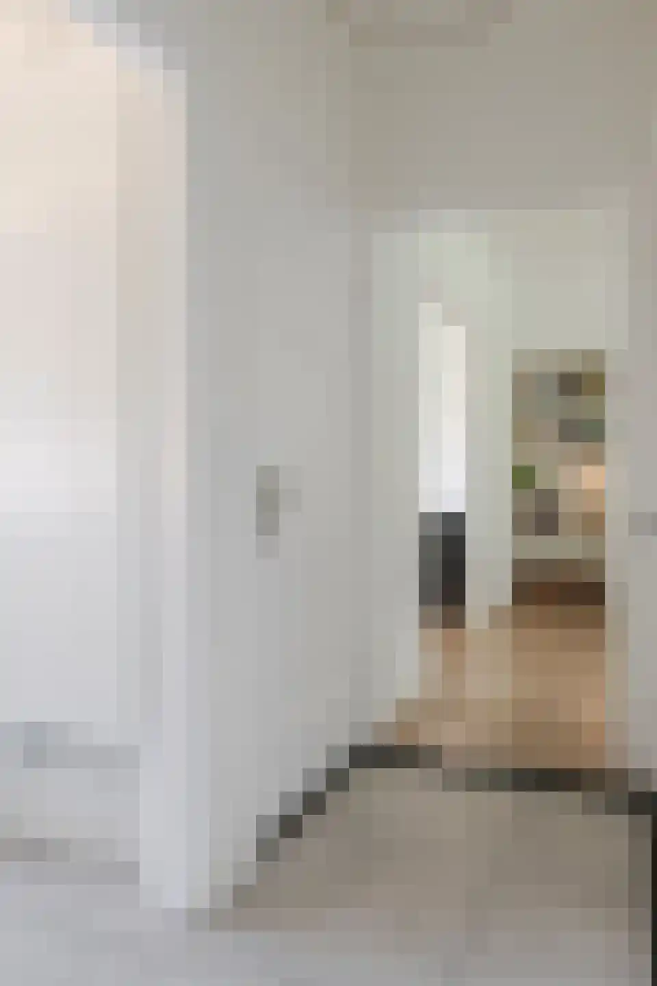 Ceintuurbaan 40 II Bussum thumbnail 11